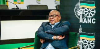 Judge Rules Against Mogotsi, Grants Mbalula Gag Order Over Defamation