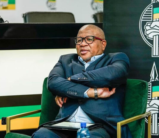 Judge Rules Against Mogotsi, Grants Mbalula Gag Order Over Defamation