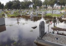 Former Mamelodi Sundowns defender Anele Ngcongca is now swimming from his grave!