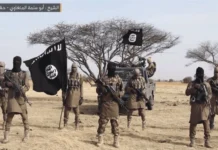 ISIS comes to South Africa as United States slaps 2 South Africans with sanctions