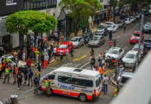 Johannesburg Police Corruption Scandal: Investigator Zenzele Benedict Sithole killed just before exposing "Guns for Hire" ring