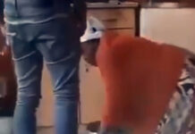 Suicidal Luvo who bashed his grandmother (82) now in big trouble, gogo now fears for her life (WATCH VIDEO)