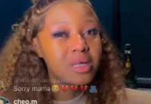 New music but old habits: Babes Wodumo's disastrous comeback leaves fans and venue owners breathing fire