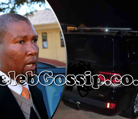 Mandla Mandela's state-of-the-art R4 million Landcruiser Prado stolen by a Zimbabwean illegal migrant without a passport