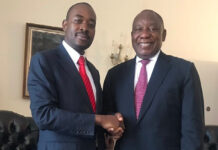 Zimbabweans in SA shouldn't come back, we're living in hell and Zanu rigs elections: Chamisa tells South Africa
