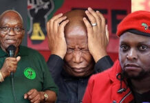 These are the exact words that Floyd Shivambu told Julius Malema when he resigned as EFF Deputy President