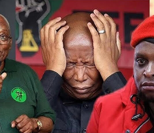 These are the exact words that Floyd Shivambu told Julius Malema when he resigned as EFF Deputy President