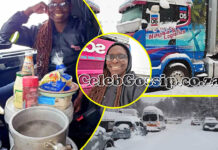 SA's deadly snowstorm: 2 frozen to death on N3 Highway, but heroic Zim female truck driver's kindness steals the show!