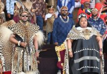 Infidelity ripped royal family apart? Source reveals the truth behind Queen Ntokozo's move and marital problems with King Misuzulu