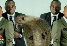 "I'll expose your top secrets that will shock the whole country": Thinah Zungu and Dumi Mkokstad are finally meeting