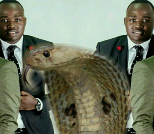 "I'll expose your top secrets that will shock the whole country": Thinah Zungu and Dumi Mkokstad are finally meeting
