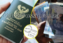 Home Affairs officials are selling South Africa to undocumented migrants: Birth certificate costs R1000 & SA passport costs R45,000