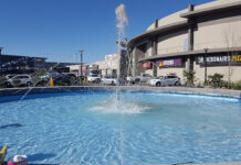 Mbalula vows to get Free State Businessman Freddie Kenney's Million Rand Lemo Mall demolished within 14 days