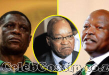 Is South Africa's presidency under attack? A closer look at poisoning allegations against Jacob Zuma, David Mabuza and Paul Mashatile