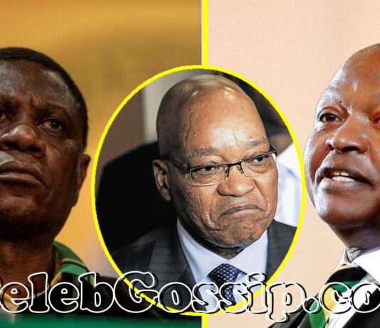 Is South Africa's presidency under attack? A closer look at poisoning allegations against Jacob Zuma, David Mabuza and Paul Mashatile