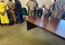 N1 highway corruption crackdown: 11 traffic police officers arrested in Limpopo for taking bribes