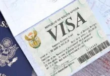 South Africa issues thousands of critical skills visas to foreigners: Easily get an SA visa if you have these qualifications