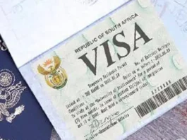 Corrupt Officials Caught Selling Visas for R500 as R181m Bribery Ring Exposed!