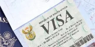 Corrupt Officials Caught Selling Visas for R500 as R181m Bribery Ring Exposed!