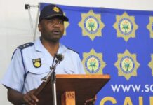 Too much tlof tlof in Gauteng more than anywhere else in South Africa: Police reveal