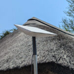 ANC Accuses Minister of Bypassing Parliament with Starlink Policy