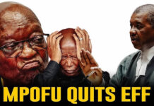 Former EFF Chairperson and veteran advocate Dali Mpofu dumps Julius Malema's party, joins Zuma's MK Party