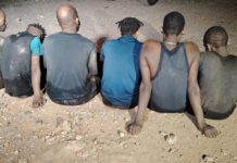 We were eating cockroaches underground after cooking them with lighters: Resurfaced Zama Zamas expose secrets