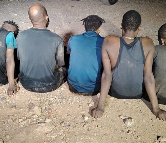 ‘Bring back our zama zamas’: mining town pleads as crackdown kills jobs and sparks crime wave