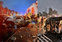 Deadly accident as truck driver dies after colliding with 6 trucks and 5 cars at toll plaza along N3, 16 people battling for life (PICS)