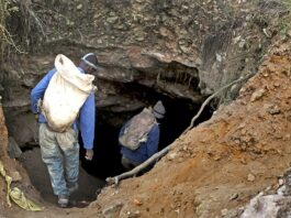 "They Will Never Win": Zama Zamas Mock R800m Army Deployment as Soldiers Sit Idle in the Dust