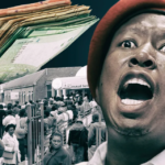 Julius Malema Rules Out Touching SASSA – Promises Grants will be Doubled