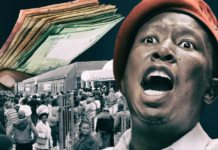 How Julius Malema's EFF manages its 27 Bank Accounts and why they are so many