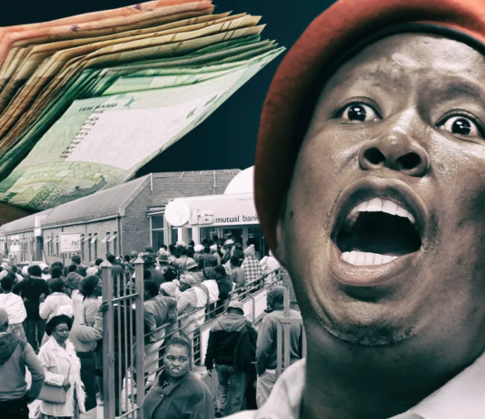 How Julius Malema's EFF manages its 27 Bank Accounts and why they are so many