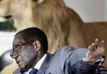 Tonderai Gabriel Mugabe sues Bona Mugabe and demands his share as 99.99% DNA results prove he is President Mugabe's son