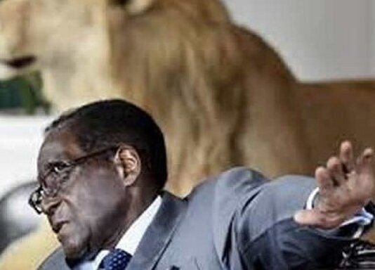 Tonderai Gabriel Mugabe sues Bona Mugabe and demands his share as 99.99% DNA results prove he is President Mugabe's son