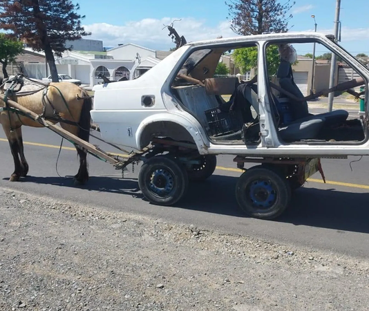SPCA breathes fire as Cape Town residents take turns to abuse horses and donkeys (SEE PICS)