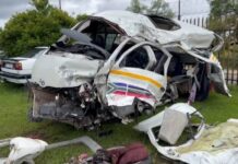 Zimbabwean driver flees from accident scene as head-on collision kills 17 people and spares 1 survivor in taxi in KZN (VIDEO & PICS)