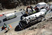 RMTC intervenes as more than 200 people perish in Eastern Cape road accidents during Christmas