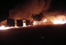Police source says end of the road for Putco's 51 burnt buses as key witness is poisoned to death to shut her up