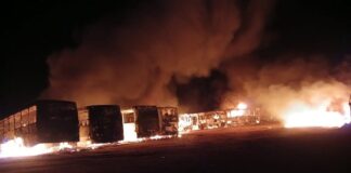 Taxi Violence Task Team Delivers Blow to Organised Crime – Police Arrest Seven Bus Mafia Members