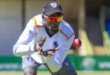 Another racism scandal rocks Cricket SA as player is repeatedly called 'a baboon' during a match