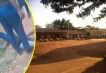 Disturbing Limpopo School Bullying Video goes viral: The attackers are armed with bricks and pangas (machetes)