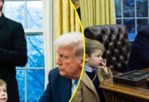 'I want you to shut your mouth' and 'You are not the president; you need to go away': Elon Musk's son tells Trump (WATCH)