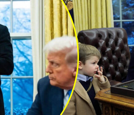 'I want you to shut your mouth' and 'You are not the president; you need to go away': Elon Musk's son tells Trump (WATCH)