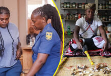 From Celebrity Sangoma to Jail Cell: Fellow sangoma issues strong warning to pregnant Gogo Maweni's clients