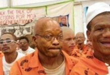 Thabo Mbeki says Zuma was a counter-revolutionary agent, questions his Robben Island imprisonment: "He was a spy planted in ANC"