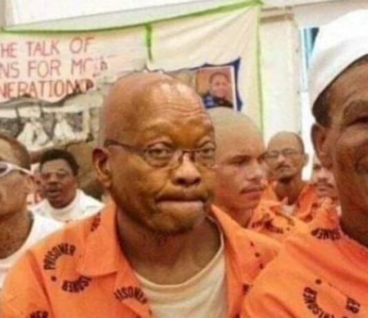Thabo Mbeki says Zuma was a counter-revolutionary agent, questions his Robben Island imprisonment: "He was a spy planted in ANC"