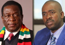 International investigative unit says feared Zimbabwe's CIO sought to kill Nelson Chamisa and 'blame Covid-19' as army generals die 1 after another