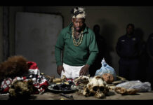 Horn with fur, chimpanzee skull, monkey face: Zimbabwe government hires sangoma to cleanse tokoloshes smuggled from South Africa