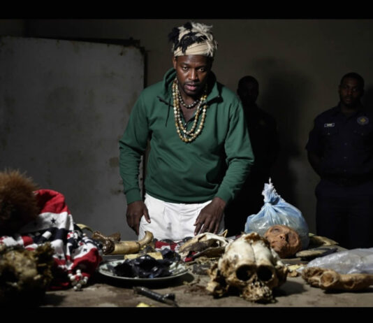 Horn with fur, chimpanzee skull, monkey face: Zimbabwe government hires sangoma to cleanse tokoloshes smuggled from South Africa